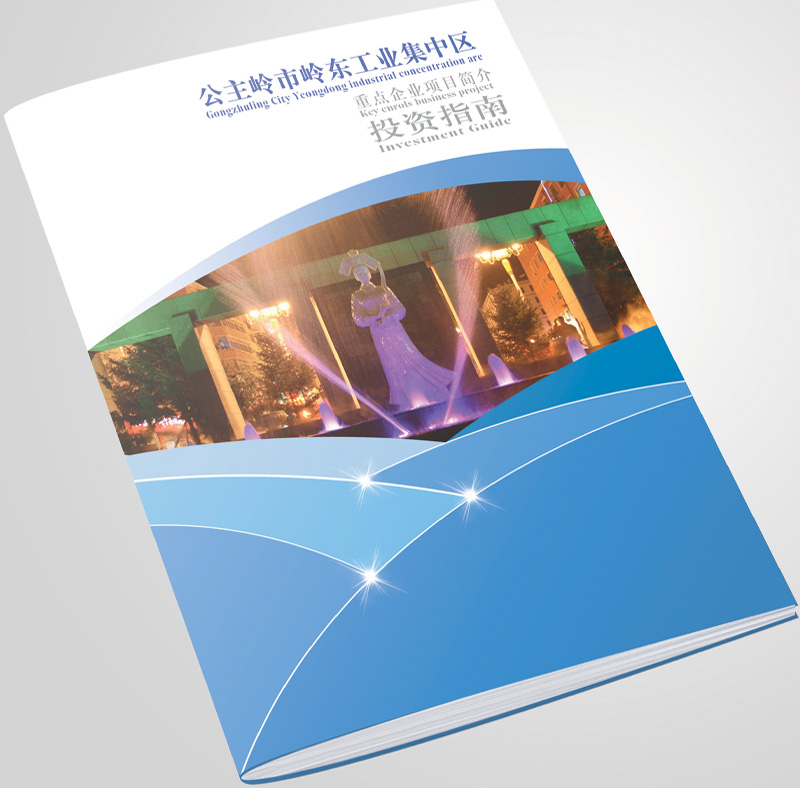 岭东开发区投资指南